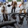 KLHK masih mencari sumber tumpahan minyak di Balikpapan