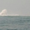 Pipa gas yang bocor di Banten milik China National Offshore 