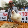 Regulasi penghapusan label halal ayam Brasil akan digugat ke MK