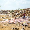 Pemkot Makassar olah sampah organik dengan teknologi lalat hitam