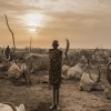 Afrika Timur dan wilayah tanduk bersiap untuk kekeringan terburuk 
