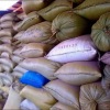 Pasokan bapok di Serang aman, harga migor Rp26.000, beras Rp12.000