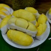 Duri bisnis di depan mata petani durian Thailand 