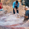 Pria Portugis menemukan kerangka dinosaurus di halaman belakang rumahnya