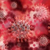 Kemenkes: WHO sebut pandemi Covid-19 segera berakhir
