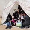 RI kritik sikap dunia internasional soal nasib pengungsi Palestina