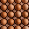 Harga alami kenaikan, Disdag Gowa pastikan produksi telur masih stabil