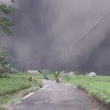 1.979 warga Lumajang mengungsi dampak erupsi Semeru