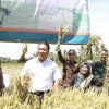 Penjabat Gubernur sebut Banten masuk 8 besar produsen beras nasional