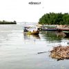 Bangau-bangau yang menghilang dari rimba mangrove terakhir Jakarta