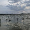 DPKP Parepare usul 697 hektare sawah terendam banjir terima ganti rugi
