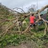 Setelah siklon ganda, ribuan orang kehilangan rumah, Vanuatu minta perlindungan iklim ke dunia
