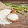 SPI kritik kebijakan impor beras 2 juta ton, sebut pemerintah teledor urus pangan