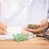 Revisi UU Narkotika, Komisi III DPR dorong legalisasi ganja untuk medis