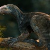 Makhluk hidup 230 juta tahun lalu telah ditemukan di Brasil