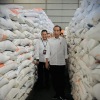 Jokowi sebut kondisi geopolitik global pengaruhi ketersediaan pangan