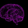 Semakin besar volume otak, semakin kecil risiko demensia