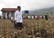 Elektabilitas Jokowi bukan jaminan untuk Pilpres 2019