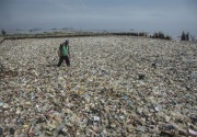 Hari ini, pembersihan sampah di Teluk Jakarta dilanjutkan 