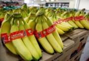 Bolehkan makan pisang saat perut kosong?