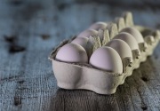 9 Fakta penting yang perlu kamu ketahui tentang telur
