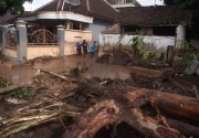 Banjir bandang Banyuwangi merusak 415 rumah warga