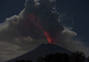 Debu Vulkanik Gunung Agung menyebar hingga Jember