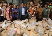 Indonesia tutup impor benih jagung