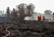 MA proses kasasi Jokowi soal kasus kebakaran hutan