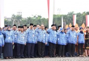 Presiden Jokowi setop penerimaan pegawai honorer daerah
