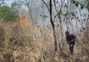 Kebakaran Gunung Ciremai semakin luas hingga 355 hektare