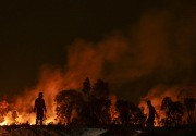 Kebakaran di Gunung Ciremai hanguskan seribu hektare lahan