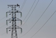 PLN utang US$1,5 miliar biayai program listrik 35.000 MW