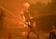 Kebakaran California: 42 orang tewas, lebih dari 200 masih hilang