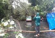 Hujan dan angin puting beliung di Bogor tewaskan 1 orang