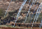 Palestina desak anggota PBB tidak dukung rancangan resolusi AS