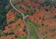 Pemkab dinilai abai, hutan di Bogor tersisa 445 hektare