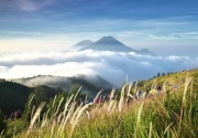 Menikmati keindahan Gunung Prau