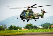 TNI AU pesan delapan helikopter dari PTDI