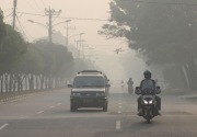 Karhutla di Pulau Rupat sebabkan kualitas udara di level bahaya