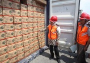 Pertama kalinya, Jatim ekspor daun kelor ke Korea Selatan Rp13 miliar