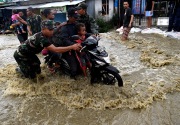Banjir bandang di Sentani diduga akibat penebangan liar