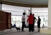 Wanita pembawa anjing ke dalam masjid terancam 5 tahun bui