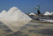 Luhut Pandjaitan: RI berhenti impor garam 2021