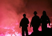 Kebakaran hutan di Portugal: Polisi tahan seorang pria