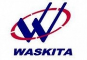 Semester I-2019, Waskita Karya raih kontrak baru Rp8,1 T