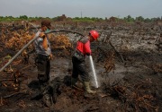 Perusahaan Sawit jadi tersangka pembakar hutan dan lahan