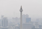 Bougenville, lidah mertua, serta mimpi Jakarta kurangi polusi udara