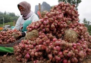 Puluhan ton bawang merah ilegal asal Malaysia gagal banjiri Aceh