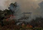 47 ribu warga Riau terpapar ISPA akibat asap kebakaran hutan